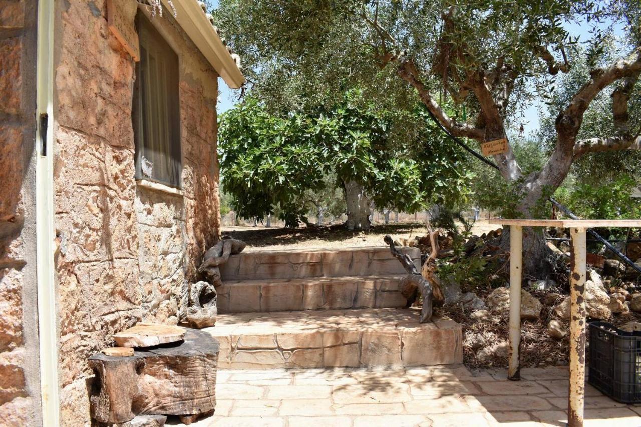Villa Glamping At A Lovely Tent In Skiaxtro- Marathopoli Exterior foto